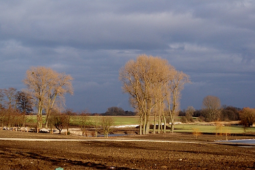 Widok na park.